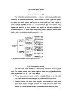 Referāts 'Uzvārdu došana Latvijā, ģenealoģija', 4.