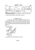 Referāts 'Uzvārdu došana Latvijā, ģenealoģija', 5.