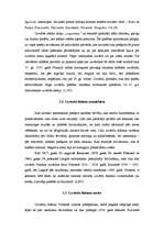 Referāts 'Uzvārdu došana Latvijā, ģenealoģija', 8.