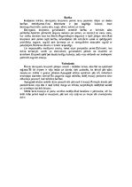 Konspekts 'Bruņneši', 5.