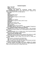 Konspekts 'Bruņneši', 8.