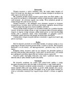 Konspekts 'Bruņneši', 11.