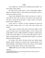 Referāts 'Sievietes dzimumu līdztiesība Latvijas politikā', 4.