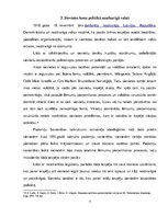 Referāts 'Sievietes dzimumu līdztiesība Latvijas politikā', 11.