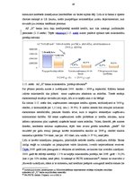 Diplomdarbs 'A/s "X" bankas kredītpolitika ekonomikas mainīgajos apstākļos', 49.