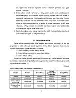 Referāts 'Dzelzs deficīta anēmija', 5.