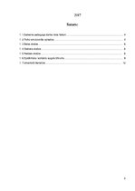 Referāts 'Skolotāja profesionālie darba riski', 2.