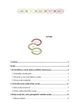 Referāts 'Preiļu novada tēla - "Siera galvaspilsēta" - attīstības analīze', 1.