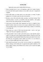 Referāts 'Preiļu novada tēla - "Siera galvaspilsēta" - attīstības analīze', 23.