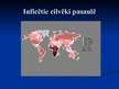 Prezentācija 'HIV un AIDS', 11.