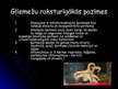 Prezentācija 'Gliemji', 3.