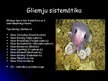 Prezentācija 'Gliemji', 5.
