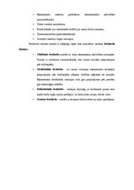 Referāts 'Jauniešu bezdarbs Latvijā', 10.