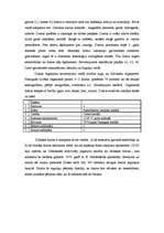 Konspekts 'Dzelzs', 2.