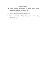 Konspekts 'Dzelzs', 3.