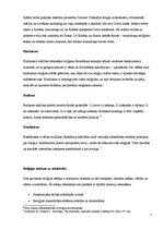 Referāts 'Reliģijas izpratne socioloģijā', 5.