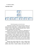 Konspekts 'Loģistikas funkcijas un to vadīšana uzņēmumā. Reāli piemēri', 6.