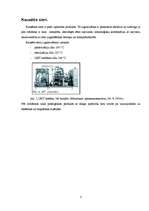 Referāts 'Kausēto sieriņu iepakošana', 3.