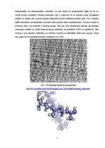 Referāts 'Kausēto sieriņu iepakošana', 7.