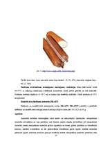 Referāts 'Kausēto sieriņu iepakošana', 14.