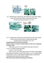 Referāts 'Kausēto sieriņu iepakošana', 17.