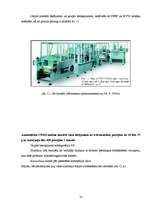 Referāts 'Kausēto sieriņu iepakošana', 18.