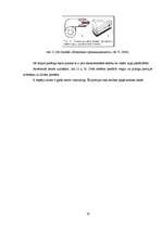 Referāts 'Kausēto sieriņu iepakošana', 19.