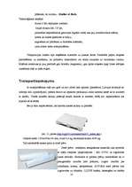 Referāts 'Kausēto sieriņu iepakošana', 23.