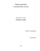 Referāts 'Iekšējais audits', 1.