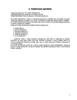 Referāts 'Iekšējais audits', 3.