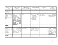 Referāts 'Iekšējais audits', 25.