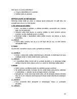 Referāts 'Iekšējais audits', 28.