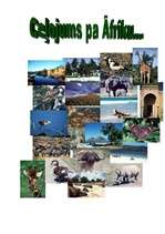 Referāts 'Ceļojums pa Āfriku', 3.