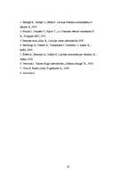 Referāts 'Romantisms Francijā', 18.