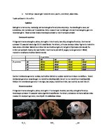 Konspekts 'Starplokusu mijiedarbības veidi', 2.