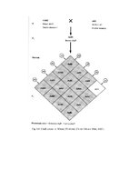 Konspekts 'Starplokusu mijiedarbības veidi', 5.