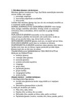 Konspekts 'Ģimenes psiholoģija, jautājumi un atbildes', 1.