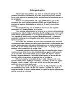 Eseja 'Dabas piesārņotība', 1.