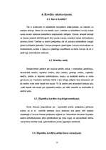 Referāts 'Banku darbība Līvānos', 13.