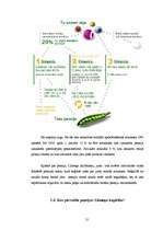 Referāts 'Banku darbība Līvānos', 21.