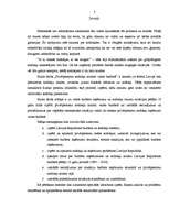 Referāts 'Privātpersonu nodokļu nozīme valsts budžetā', 3.