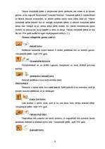 Referāts 'Olimpiskās spēles', 4.