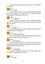 Referāts 'Olimpiskās spēles', 6.