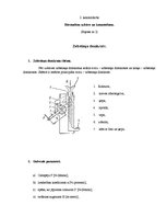 Konspekts 'Būvmašīnu uzbūve un izmantošana', 1.
