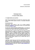 Konspekts 'Patstāvīgais darbs. Sestais temats. Tiesību sistēma', 1.