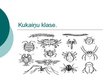 Prezentācija 'Kukaiņu klase', 1.