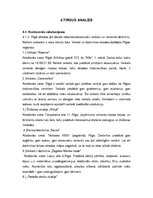 Biznesa plāns 'Biznesa plāns auskaru veikalam/darbnīcai', 4.