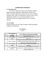 Biznesa plāns 'Biznesa plāns auskaru veikalam/darbnīcai', 8.