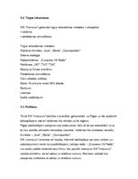 Biznesa plāns 'Biznesa plāns auskaru veikalam/darbnīcai', 9.