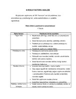 Biznesa plāns 'Biznesa plāns auskaru veikalam/darbnīcai', 14.